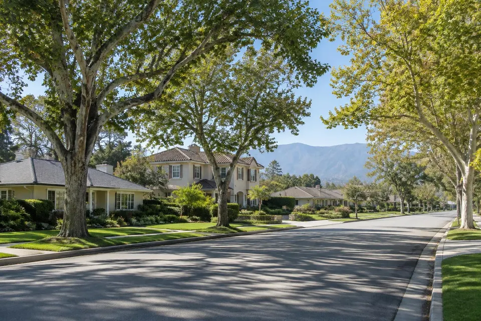 Generated illustration of a tree-lined residential street with single-story and two-story homes